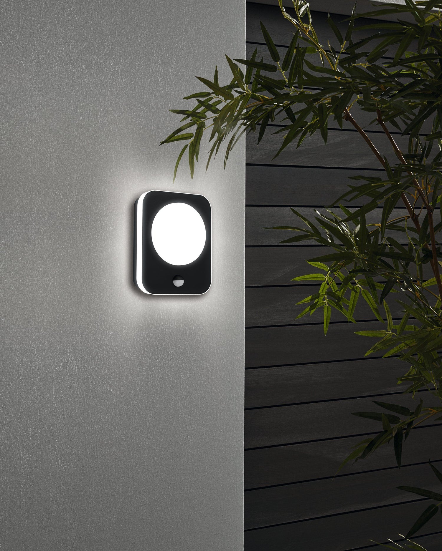 EGLO MADRIZ wall light 99584